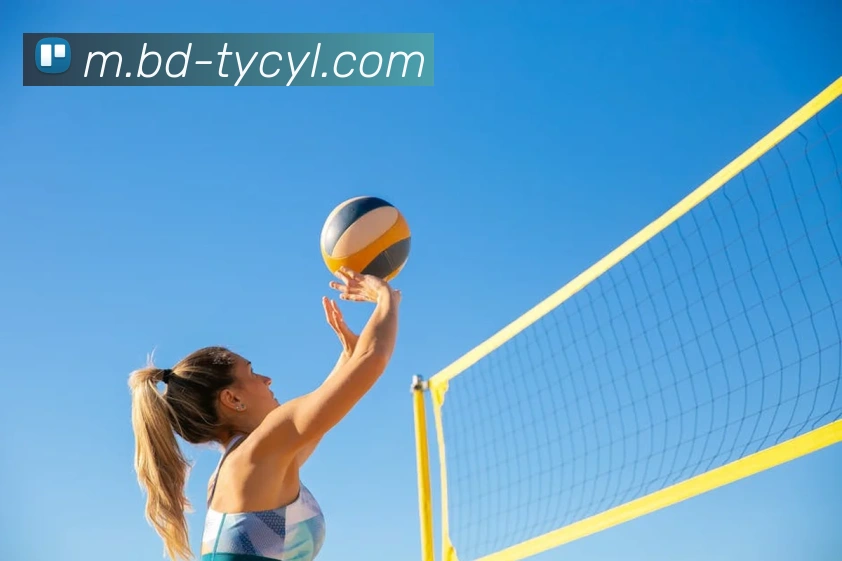 太阳城网站品牌故事