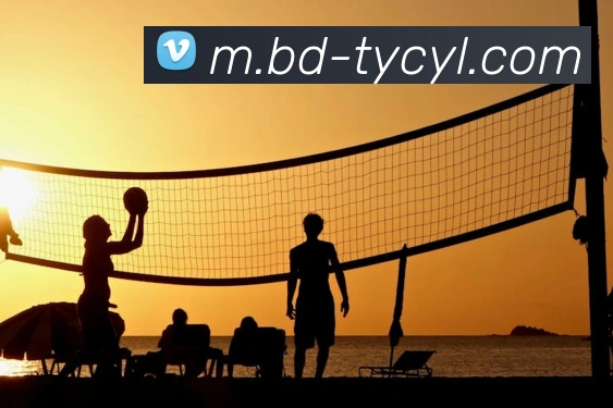 太阳城网站服务体系